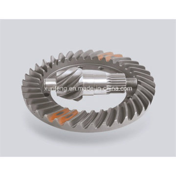 Spiral Bevel Gear with Favorable Price